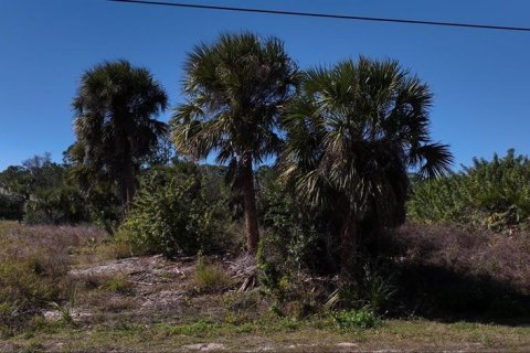 Terreno en venta en Port Charlotte, Florida № 1540270 - foto 1