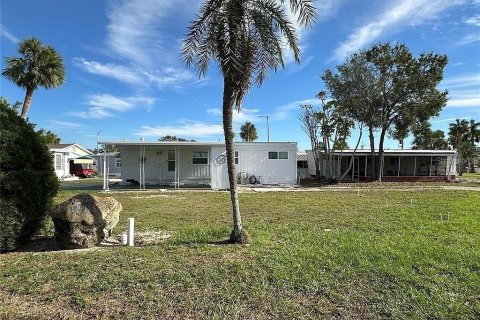 Land in Tampa, Florida № 2160279 - photo 3