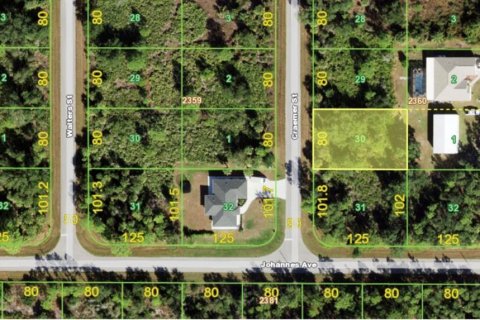 Land in Port Charlotte, Florida № 2354405