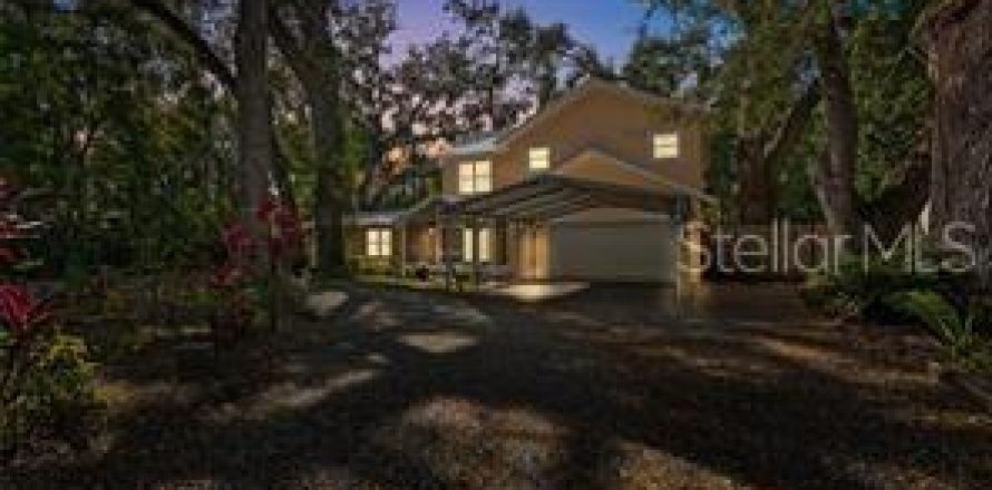 House in Lutz, Florida 4 bedrooms, 228.54 sq.m. № 2218683
