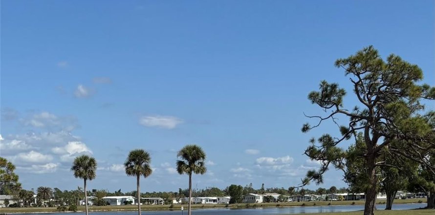 Terrain à Port Charlotte, Floride № 1526876