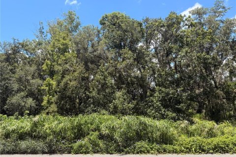 House in Haines City, Florida 1 bedroom, 434.41 sq.m. № 1848201 - photo 6