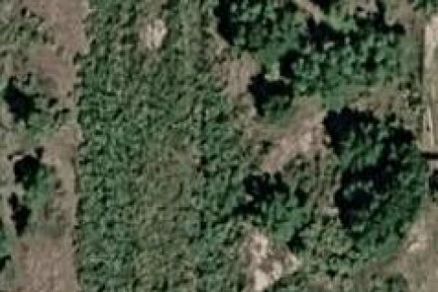 Commercial property in Okeechobee, Florida № 2158181
