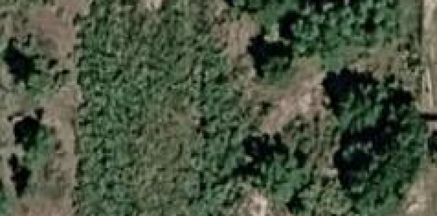 Commercial property in Okeechobee, Florida № 2158181