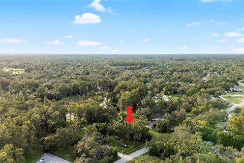 Terrain à vendre à New Port Richey, Floride № 1917525 - photo 8