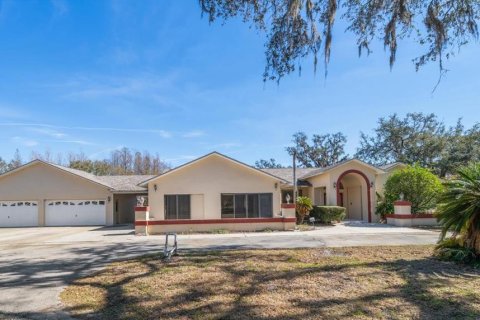 House in Odessa, Florida 5 bedrooms, 300.07 sq.m. № 1512253 - photo 1