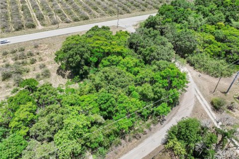 Terreno en venta en Haines City, Florida № 1242773 - foto 7