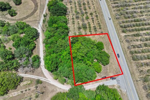 Terreno en venta en Haines City, Florida № 1242773 - foto 6