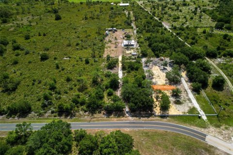 Terrain à vendre à Lake Wales, Floride № 1757527 - photo 4