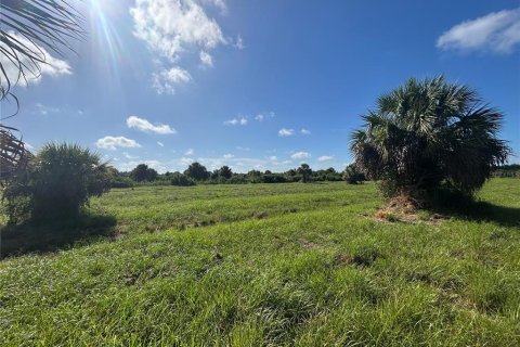 Terrain à vendre à Punta Gorda, Floride № 1835367 - photo 4
