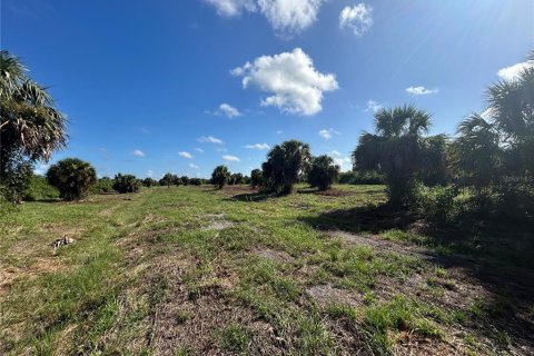 Terrain à vendre à Punta Gorda, Floride № 1835367 - photo 5