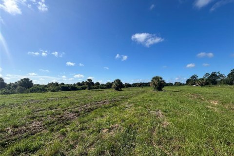 Terrain à vendre à Punta Gorda, Floride № 1835367 - photo 8