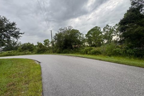 Land in North Port, Florida № 2163469