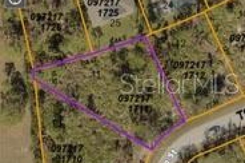 Land in North Port, Florida № 2163469 - photo 4