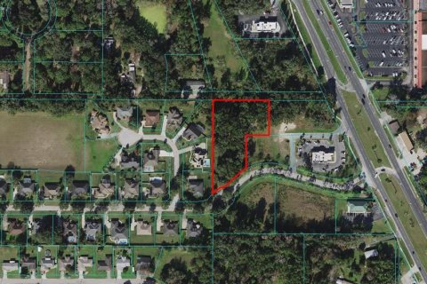 Land in Belleview, Florida № 215244 - photo 1