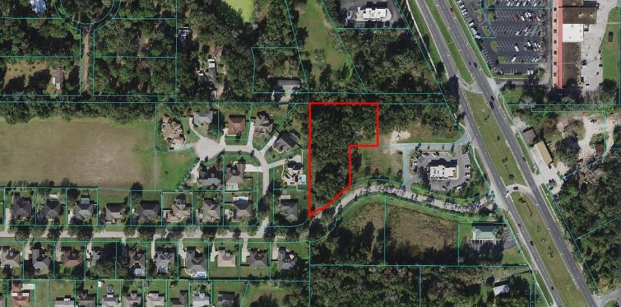 Land in Belleview, Florida № 215244