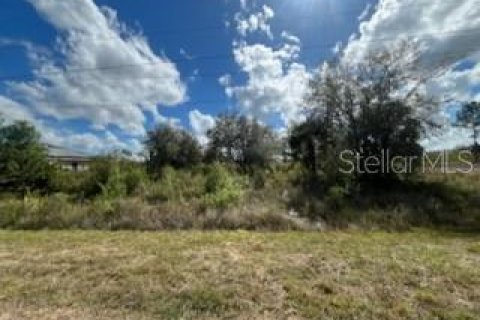 Terreno en Lehigh Acres, Florida № 2163214