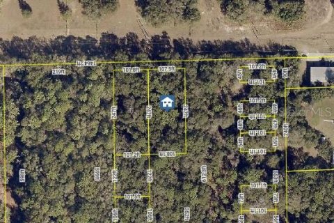 Land in Orange City, Florida № 2163084
