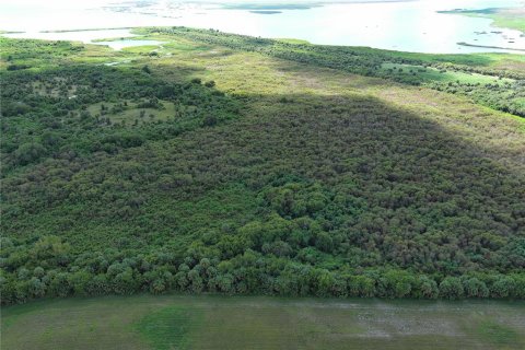 Terrain à vendre à Okeechobee, Floride № 1690878 - photo 15