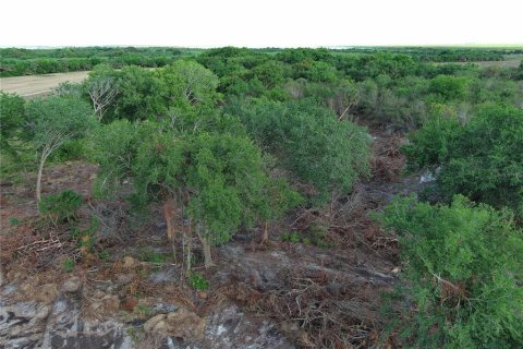 Terreno en venta en Okeechobee, Florida № 1690878 - foto 5