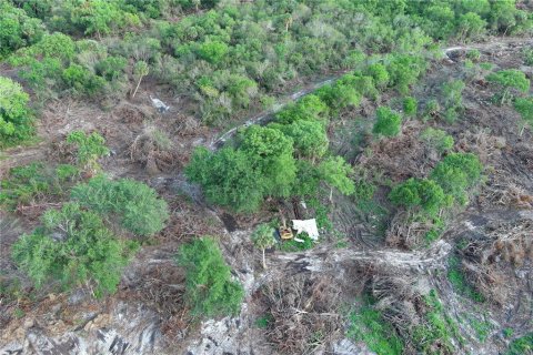 Terreno en venta en Okeechobee, Florida № 1690878 - foto 4
