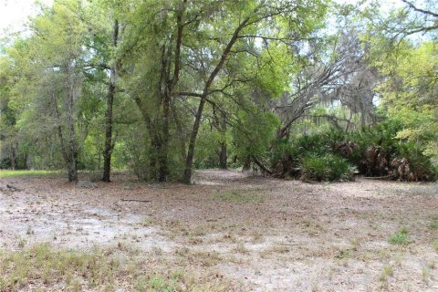 Terreno en venta en Leesburg, Florida № 1063532 - foto 8
