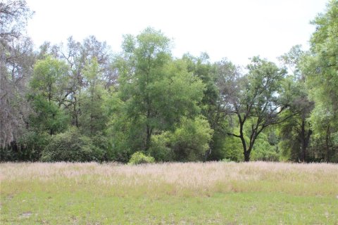Terreno en venta en Leesburg, Florida № 1063532 - foto 6