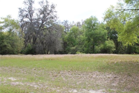 Terreno en venta en Leesburg, Florida № 1063532 - foto 4