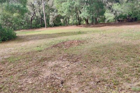 Terreno en venta en Leesburg, Florida № 1063532 - foto 7