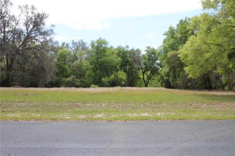 Terreno en venta en Leesburg, Florida № 1063532 - foto 3