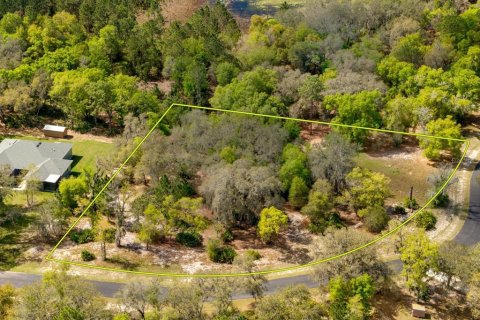 Terreno en venta en Leesburg, Florida № 1063532 - foto 1