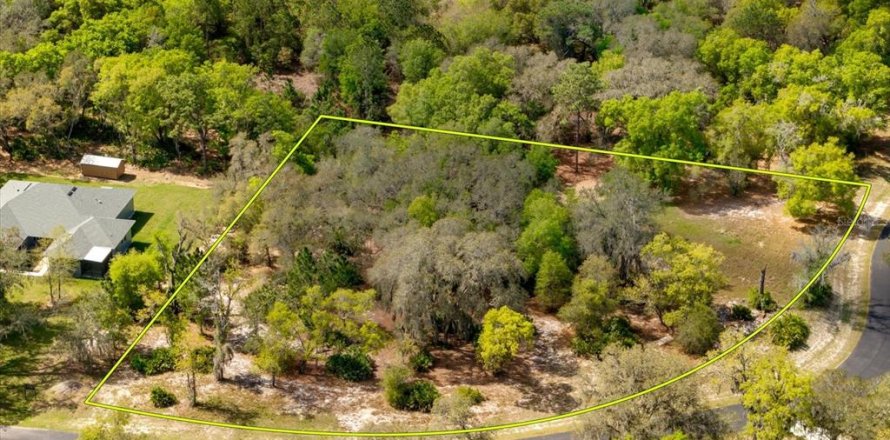 Terreno en Leesburg, Florida № 1063532
