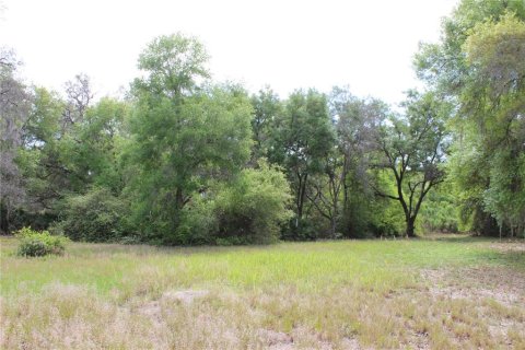 Terreno en venta en Leesburg, Florida № 1063532 - foto 9