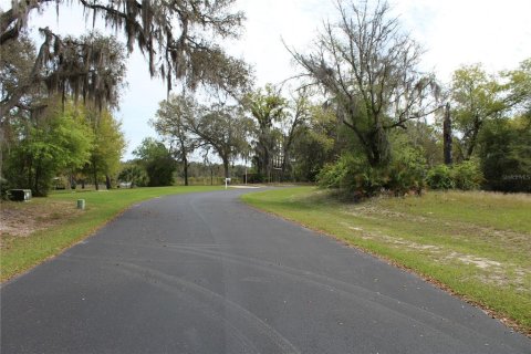 Terreno en venta en Leesburg, Florida № 1063532 - foto 19