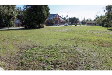 Land in Tampa, Florida № 1122234 - photo 1