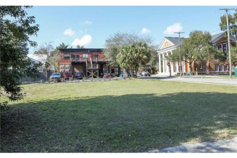 Land in Tampa, Florida № 1122234 - photo 2
