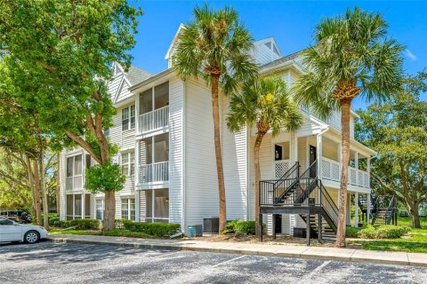 Condo à Palm Harbor, Floride, 1 chambre  № 2388333