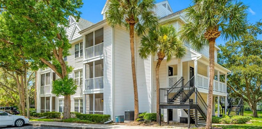 Condo à Palm Harbor, Floride, 1 chambre  № 2388333