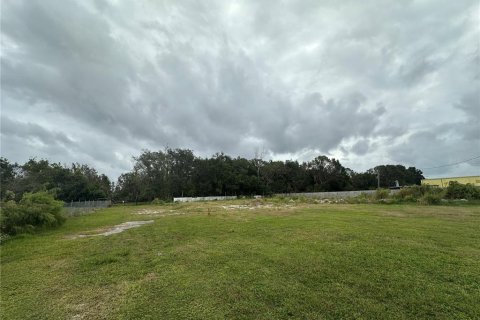 Commercial property in Lutz, Florida 278.71 sq.m. № 1519924 - photo 11