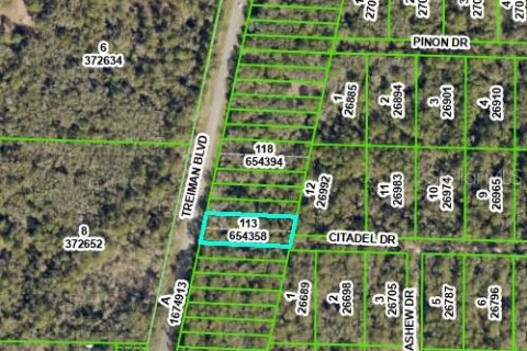 Land in Webster, Florida № 2162528 - photo 3