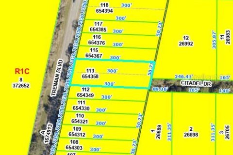 Land in Webster, Florida № 2162528 - photo 4