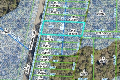 Land in Webster, Florida № 2162528 - photo 5
