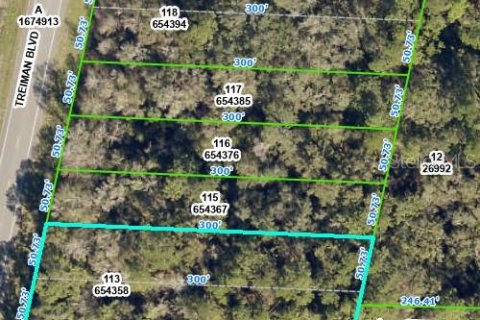 Land in Webster, Florida № 2162528