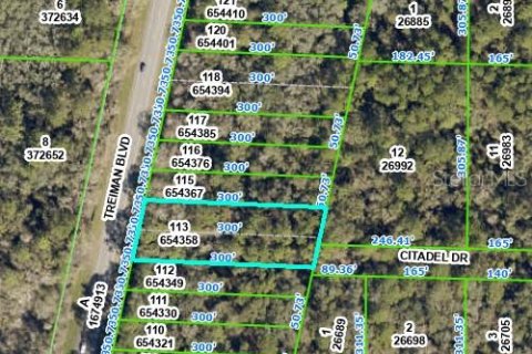 Land in Webster, Florida № 2162528 - photo 2