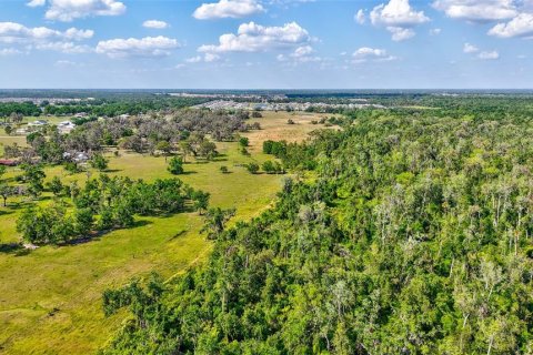 Terreno en venta en Parrish, Florida № 2299126 - foto 15
