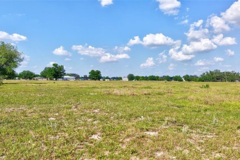 Terreno en venta en Parrish, Florida № 2299126 - foto 20