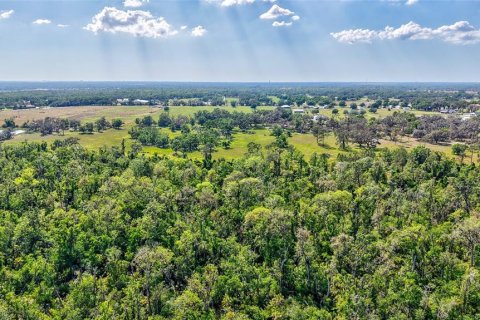 Terreno en venta en Parrish, Florida № 2299126 - foto 16
