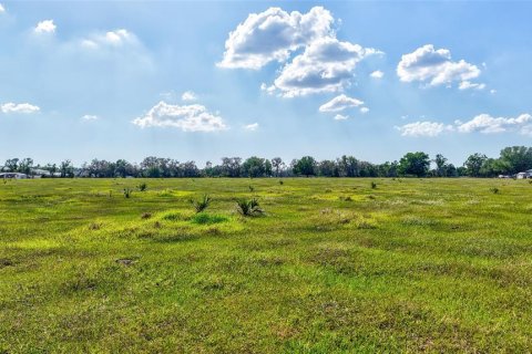 Terreno en venta en Parrish, Florida № 2299126 - foto 17