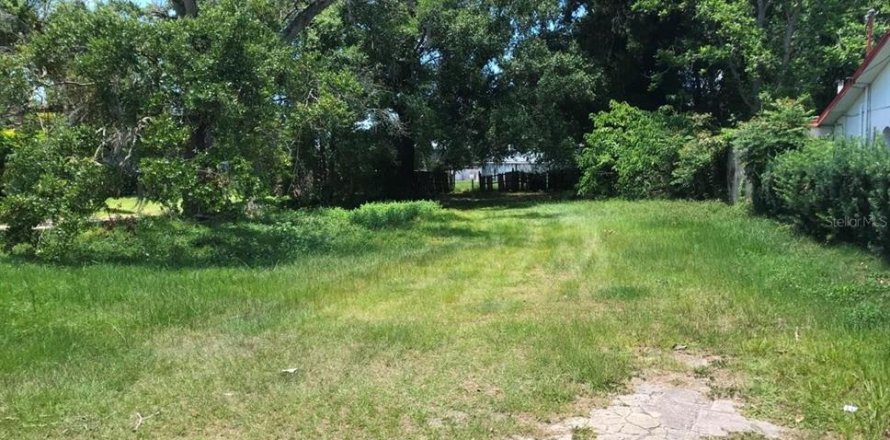 Land in Orlando, Florida № 1688572