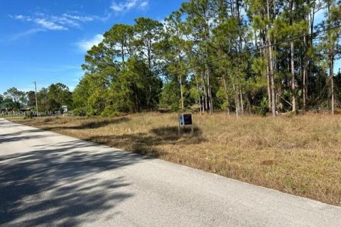 Land in Lehigh Acres, Florida № 2158165 - photo 6